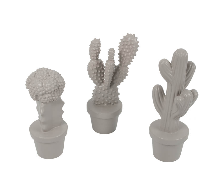 Cactus, Grey, 8x8x26cm, K22020