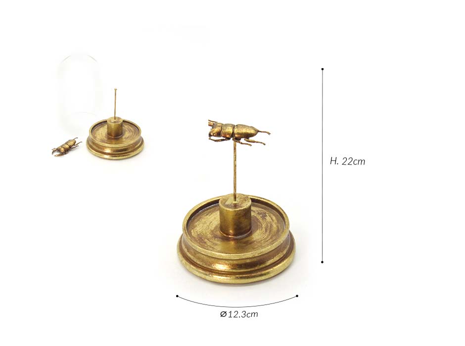 Beetle Dome 21, Gold, Ø12.3x22cm, D127