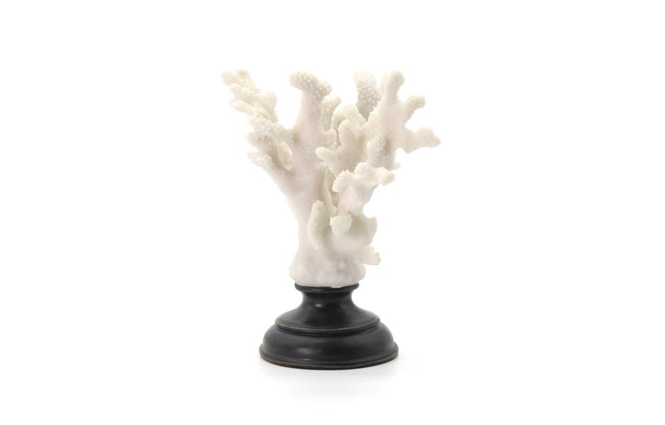 Coral Candle, White, 18x13x23.5cm, X22
