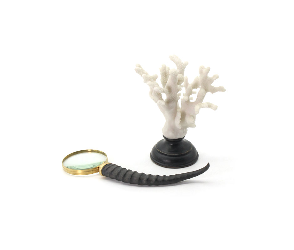 Coral Candle, White, 18x13x23.5cm, X22