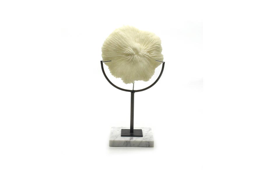 Coral with marble basel-33, White, 18.5x12x33cm, X22