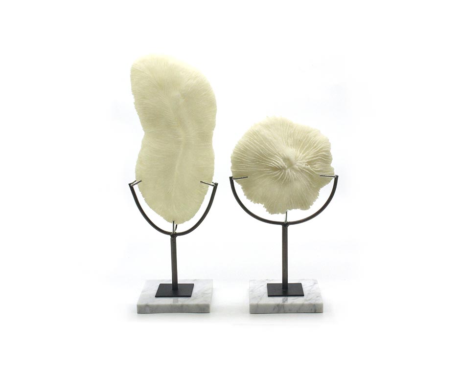 Coral with marble basel-33, White, 18.5x12x33cm, X22
