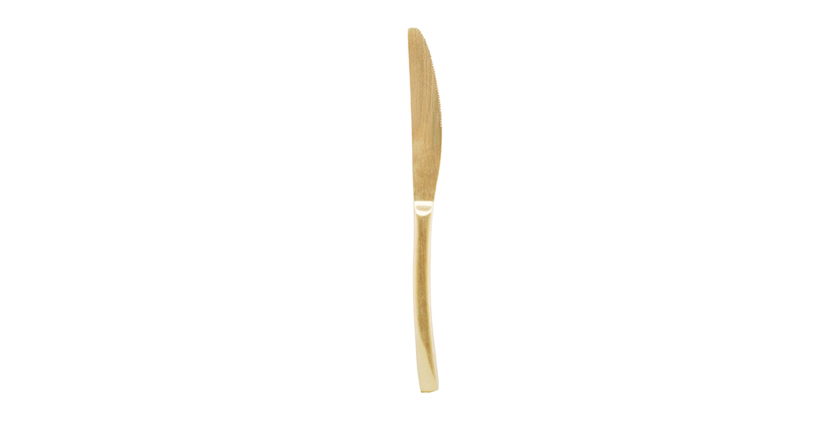 Knife, Elegant, titanium gold, 22cm, HD1024