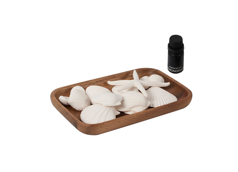 Season Refreshment Summer Sea Shells, White, 13.5 x 18.5 x 5cm, 433SM
