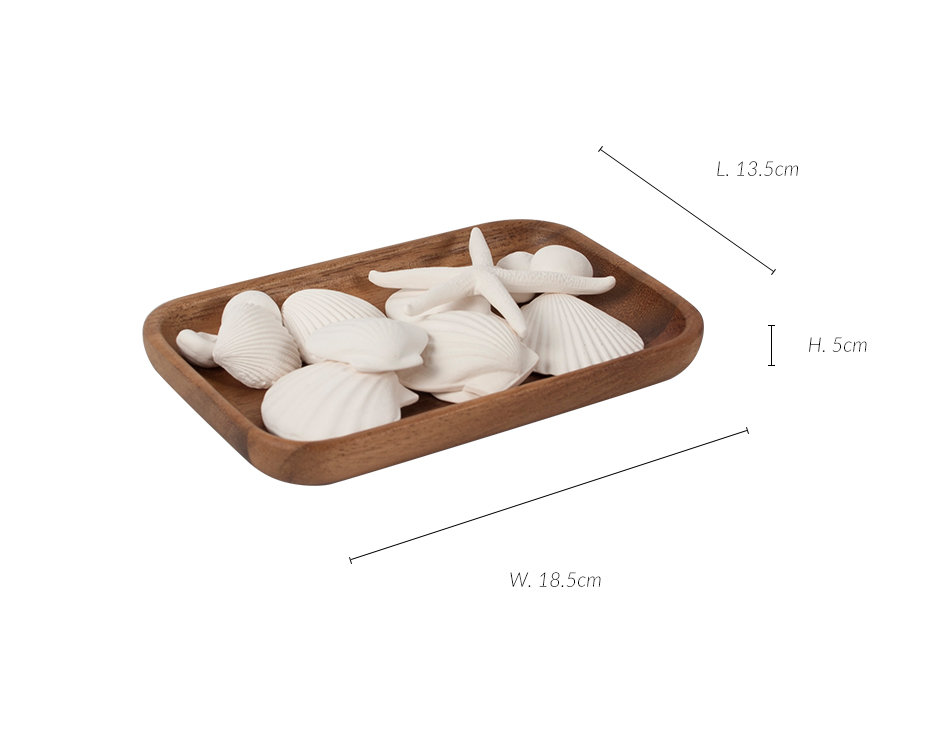 Season Refreshment Summer Sea Shells, White, 13.5 x 18.5 x 5cm, 433SM