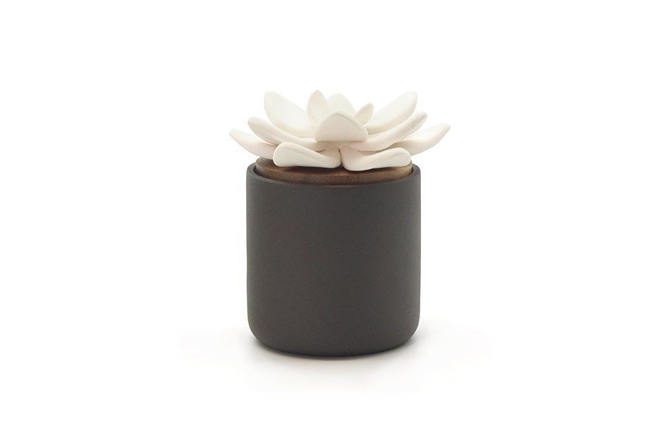 BLOOMSTER (BLACK), Black, Ø10x11cm, KDTD 546BK